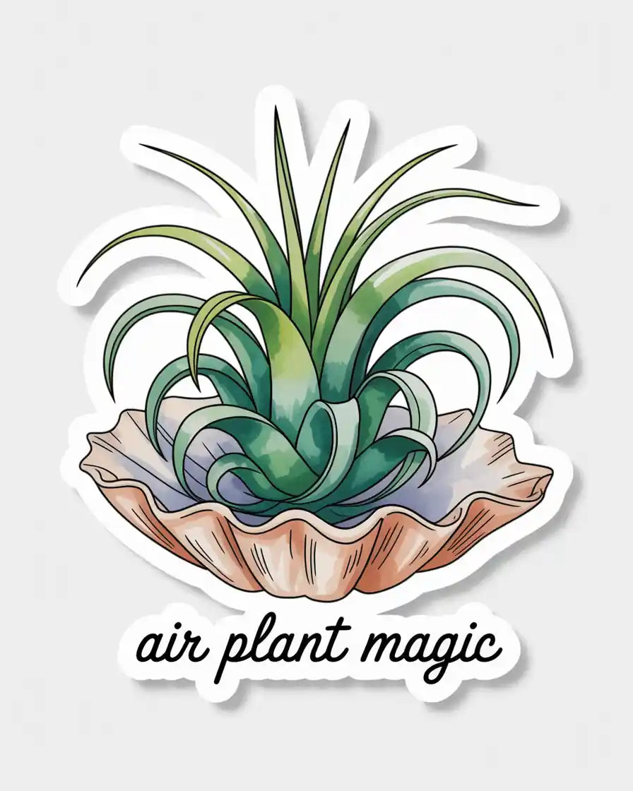 Air Plant Magic Sticker