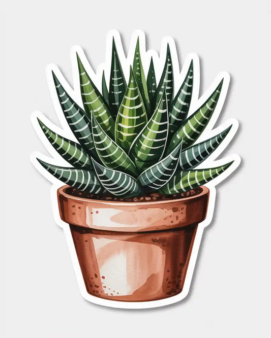 Zebra Haworthia Sticker
