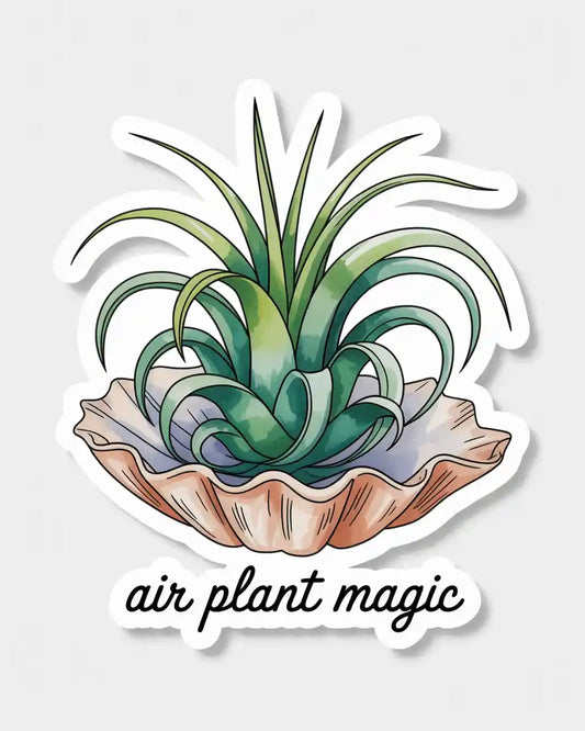 Air Plant Magic Sticker